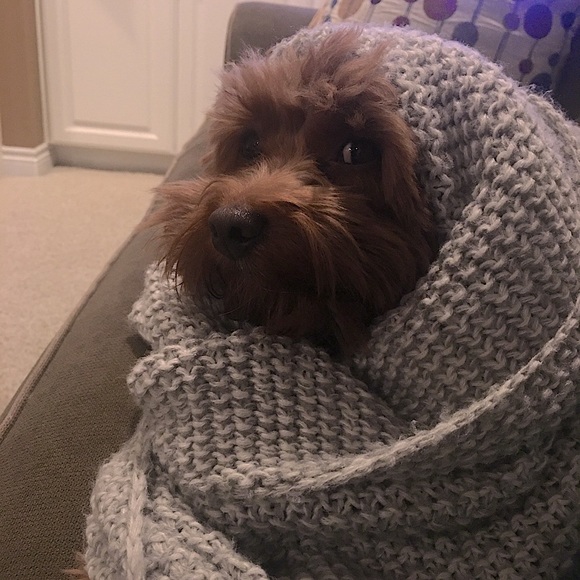 Meet your Posher, Ashley - Picture 5 of 6